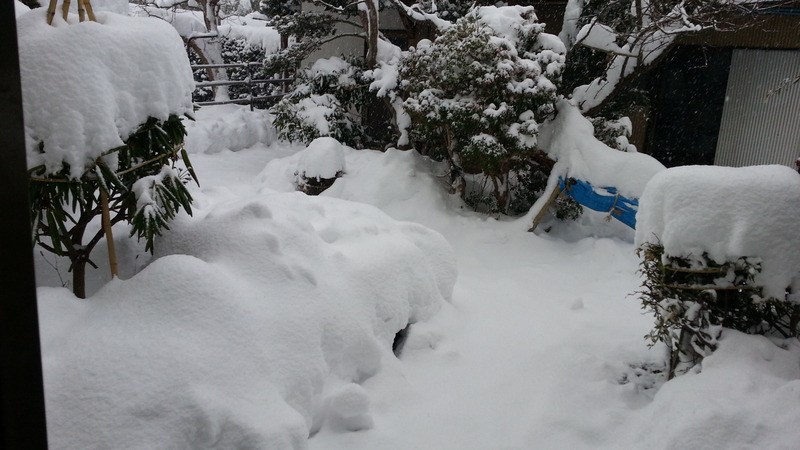 大雪